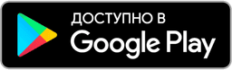 Google Store